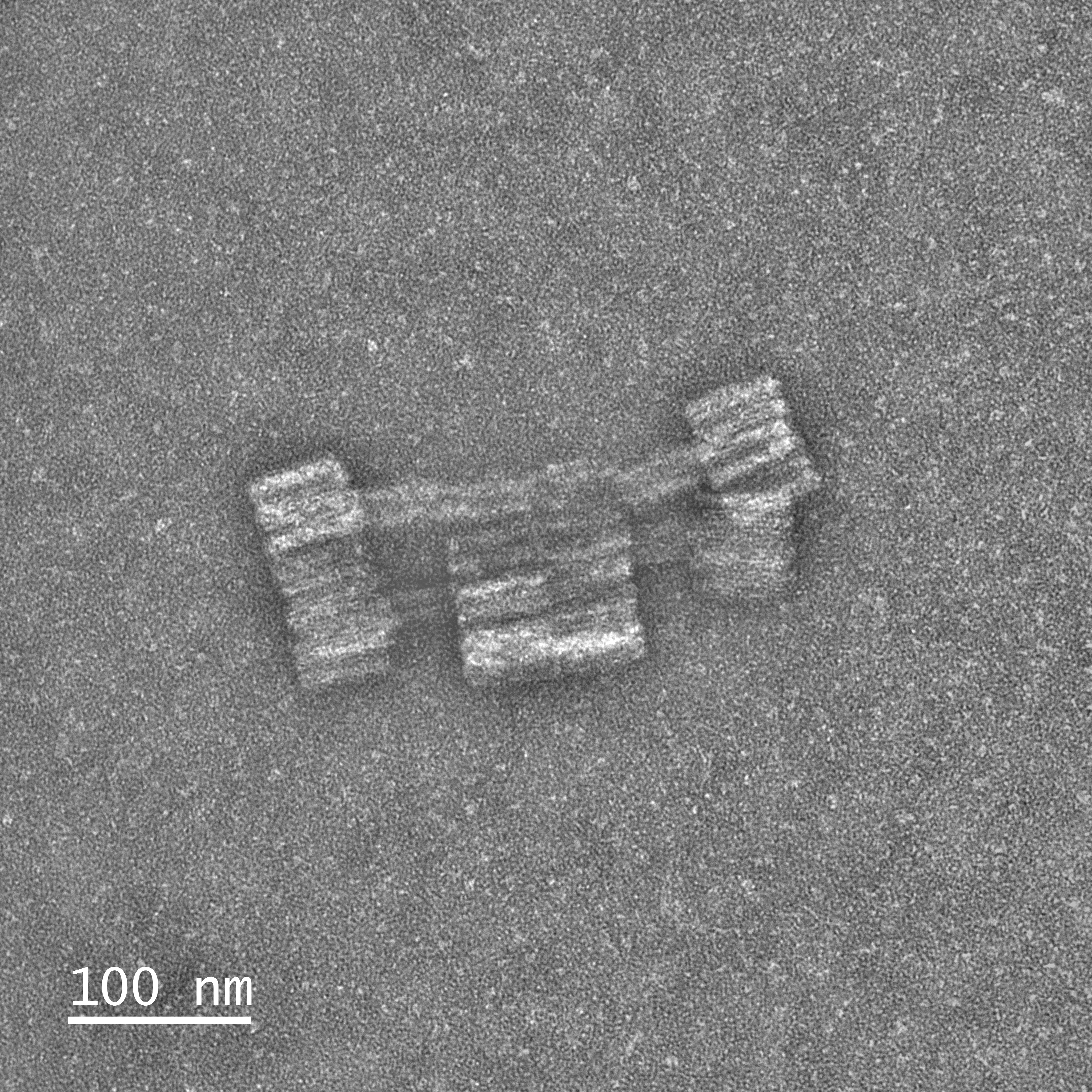 Mars Rover